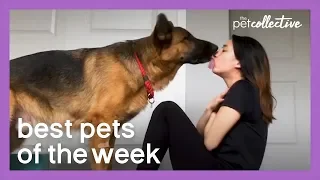 Best Pets Of The Week | Week 3 May 2020
