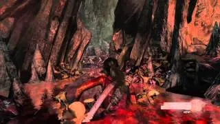 Tomb Raider / The river of blood