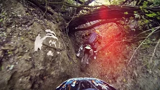 The Discovery Of Nature | Enduro In The Wild Forest | Pannonhalma Enduro