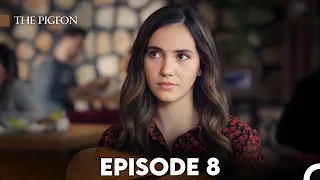 The Pigeon Episode 8 (FULL HD)