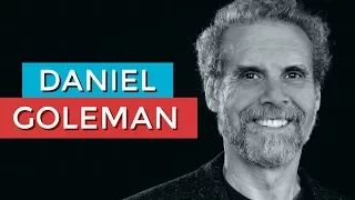 DANIEL GOLEMAN E A INTELIGÊNCIA EMOCIONAL | RODRIGO FONSECA