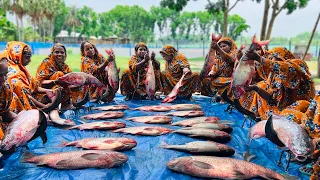 60 KG Big Carp Fish Cutting by Women - Traditional Fish Curry Cooking in Village - Fish Recipe