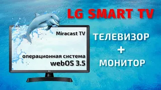 Smart-телевизор LG 24TN510S-PZ