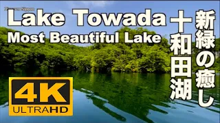 4K 新緑の十和田湖 自然音 Canoe Relaxing 癒し Fresh green Lake Towada 観光 カヌー 青森観光  Canoe trip リラックス  湖畔 睡眠 眠くなる音