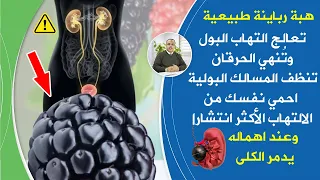 أسرارعلاج التهاب المسالك البولية تنظف المجاري البولية تعالج التهاب البول تدعم المثانةتمنع تدميرالكلى