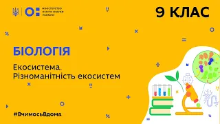 9 клас. Біологія. Екосистема. Різноманітність екосистем (Тиж.4:ВТ)