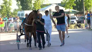 Nikola Jokic's horse won the race in Sombor