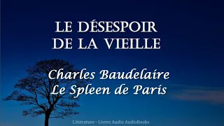 Le Désespoir de la Vieille - Charles Baudelaire, Le Spleen de Paris