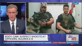 Dan Abrams catches up with recovered K-9s