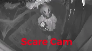 Halloween Haunt Scare Compilation 2021