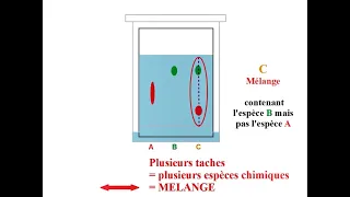 interpréter un CHROMATOGRAMME - Chromatographie sur couche mince ( CCM )