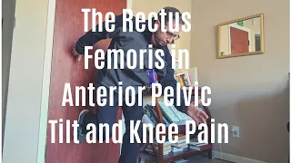 The Role of the Rectus Femoris in Anterior Pelvic Tilt and Knee Pain