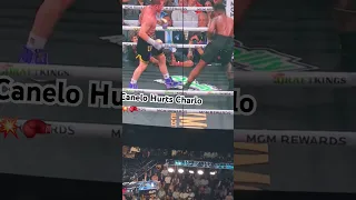 The moment when Charlo get drop by Canelo… 🥊🥊😂￼ #shortcut #caneloalvarez  #jermellcharlo