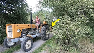 Nowy nabytek - talerzówka z 1989 /  Ciele na gospodarstwie