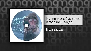 Купание обезьяны в тёплой воде - Иди сюда (Официальный релиз)