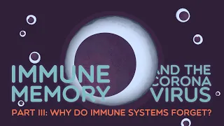 Immune Memory & the Coronavirus Part III: Why do immune systems forget?