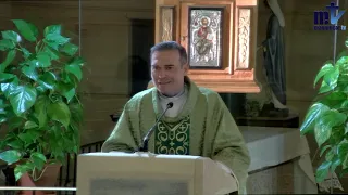 La Santa Misa de hoy | XXXIII, Domingo del Tiempo Ordinario | 14-11-2021 | Magnificat.tv