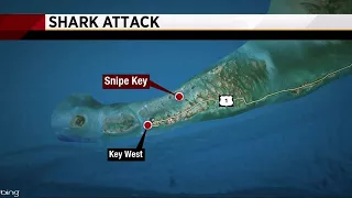 Shark attack in Florida Keys leaves woman injured