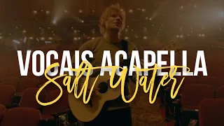Salt Water - Ed Sheeran (ACAPELLA)