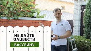 Не дайте ЗАЦВЕСТИ БАССЕЙНУ на даче. ПРАВИЛА пошаговой очистки и ухода