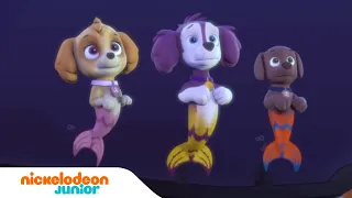 PAW Patrol | Les chiens-sirènes aident la Pat' Patrouille en mission | Nick Jr.