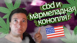 КАК КОНОПЛЯ РУЛИТ🆗 КОНОПЛЯНЫЕ МЕД И МАРМЕЛАД?