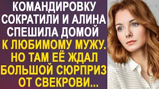 Командировку сократили и Алина спешила домой. Но там её ждал большой сюрприз от свекрови...