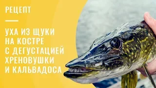 Рецепт ухи из щуки на костре с дегустацией хреновушки и кальвадоса