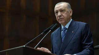 Хитрый план Эрдогана или проделки глобалистов?