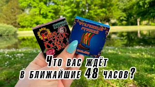 Что вас ждёт в ближайшие 48 часов? Гадание на пасьянсе Карина Захарова