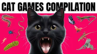 CAT TV Games Compilation Vol.7 | More than 2 HOURS | Different Camera Angles!