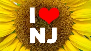 10 Reasons To Never Visit New Jersey