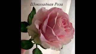 Да я сама не верю, что она не настоящая! 😀