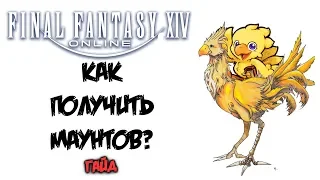 Final Fantasy XIV. КАК ПОЛУЧИТЬ МАУНТОВ? ГАЙД!