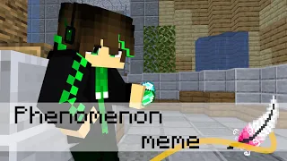 Phenomenon meme [Minecraft animation]