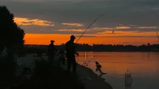 Вечірня РИБАЛКА на ФІДЕР в межах МІСТА КРЕМЕНЧУК!!!