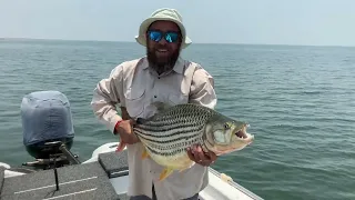 Biggest Fish - to date