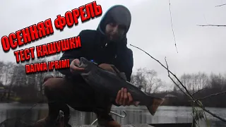 Осенняя Форель На Платнике На Спиннинг /Тест Катушки Daiwa 19 Iprimi LT 1000 S-P