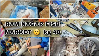 BIGGEST FISH MARKET IN HYDERABAD | RAM NAGAR