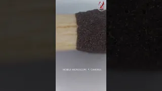 MOBILE CAMERA MICROSCOPE 🔬#shorts #youtubeshorts