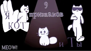 9 Признаков Что Вы Кот - МЯУ!