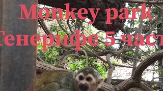 Парк обезьян на Тенерифе 2018. Monkey Park Tenerife 2018