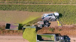 Mais 2022 :  Claas Jaguar 990 TerraTrac / S.W.A.T / Mais häckseln / Valtra / Crash / Corn harvest