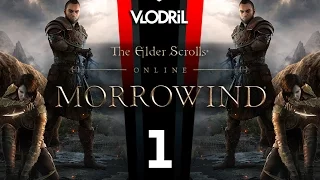 Morrowind Expansion - Let's Play The Elder Scrolls Online DLC Part 1 - Warden Wood Elf - MMORPG -