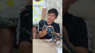 Surprises in Aluminum foil challenge #shorts #funny #tiktok