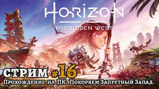 Horizon Forbidden West. Прохождение на ПК. Покоряем Запретный Запад. Стрим. [16]