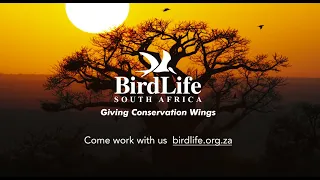 BirdLife South Africa - Hope