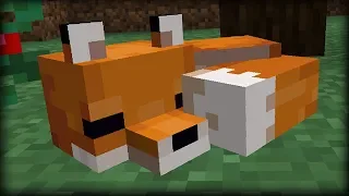 ✔ Minecraft: 25 Things You Didn't Know About Foxes