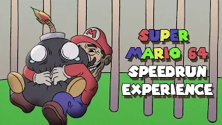 The Super Mario 64 Speedrun Experience