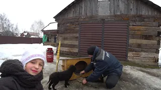 Подготовка к плем.сезону//Дезинфекция гнёзд